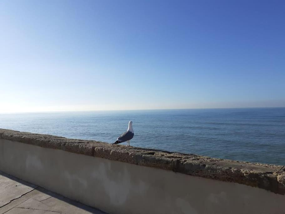 Ferienwohnung Mar Y Sol Cádiz Exterior foto
